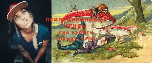 бутират Ессентукская