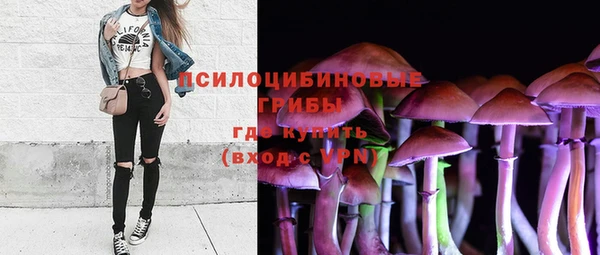 бутират Ессентукская