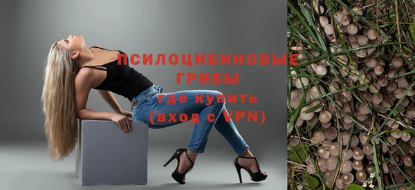 бутират Ессентукская