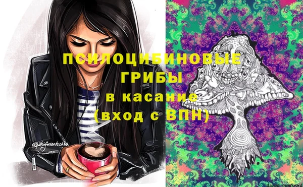 бутират Ессентукская
