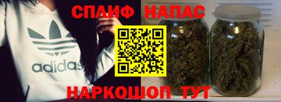 стаф Тара