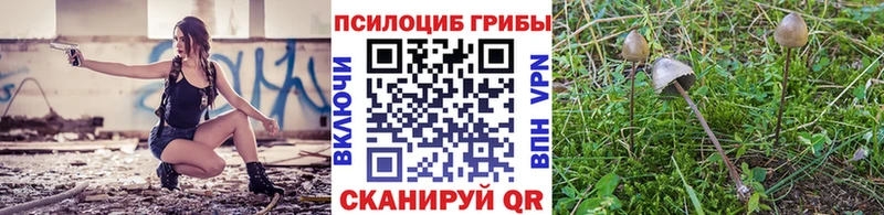 Галлюциногенные грибы Magic Shrooms Тольятти