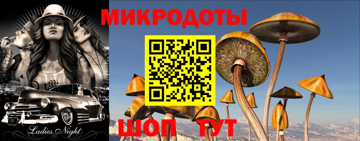 Галлюциногенные грибы прущие грибы Россия