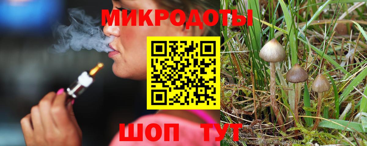 Галлюциногенные грибы Magic Shrooms  Вход с VPN  Галлюциногенные грибы Magic Shrooms  Россия 